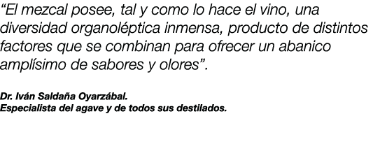 “El mezcal posee, tal y como lo hace el vino, una diversidad organol ptica inmensa, producto de distintos factores qu...